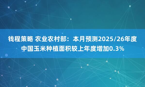 钱程策略 农业农村部：本月预测2025/26年度中国玉米种植面积较上年度增加0.3%