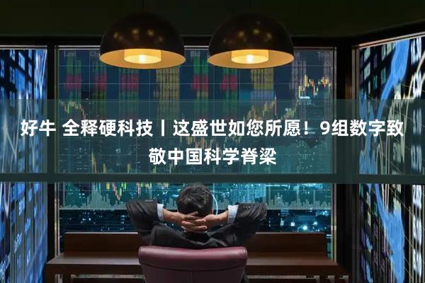 好牛 全释硬科技丨这盛世如您所愿！9组数字致敬中国科学脊梁