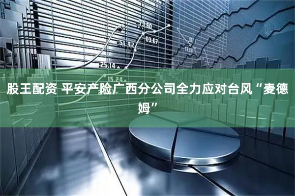 股王配资 平安产险广西分公司全力应对台风“麦德姆”