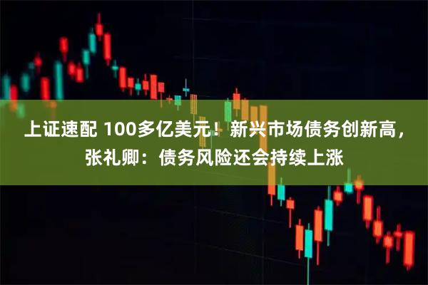 上证速配 100多亿美元！新兴市场债务创新高，张礼卿：债务风险还会持续上涨