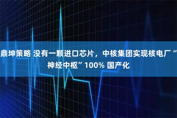 鼎坤策略 没有一颗进口芯片，中核集团实现核电厂“神经中枢”100% 国产化